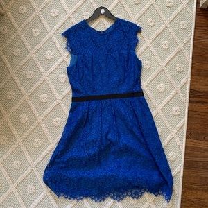 Blue lace Shoshanna cocktail dress